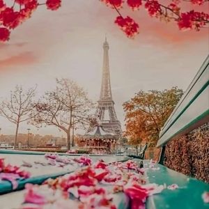 Meet your Posher, Rony